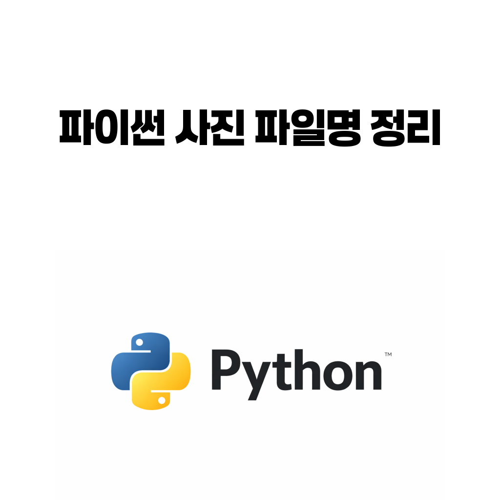 파이썬으로 사진 파일명을 날짜순으로 정리하는 방법을 설명하는 대표 이미지
