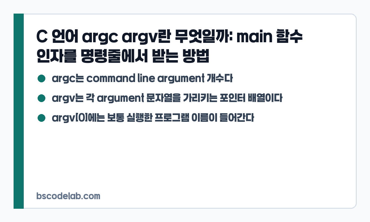 C 언어 argc argv 요약 카드