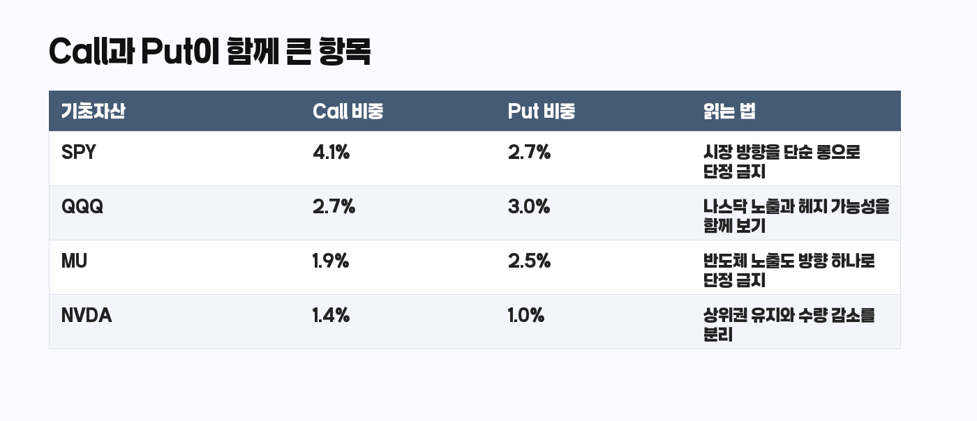 Citadel 13F Call과 Put 동시 노출 표